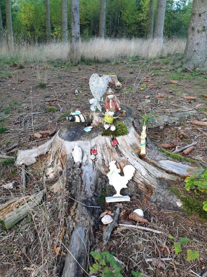 Andinas Ferienwohnung In Ruhiger Lage Direkt Am Wald Wilnsdorf Extérieur photo
